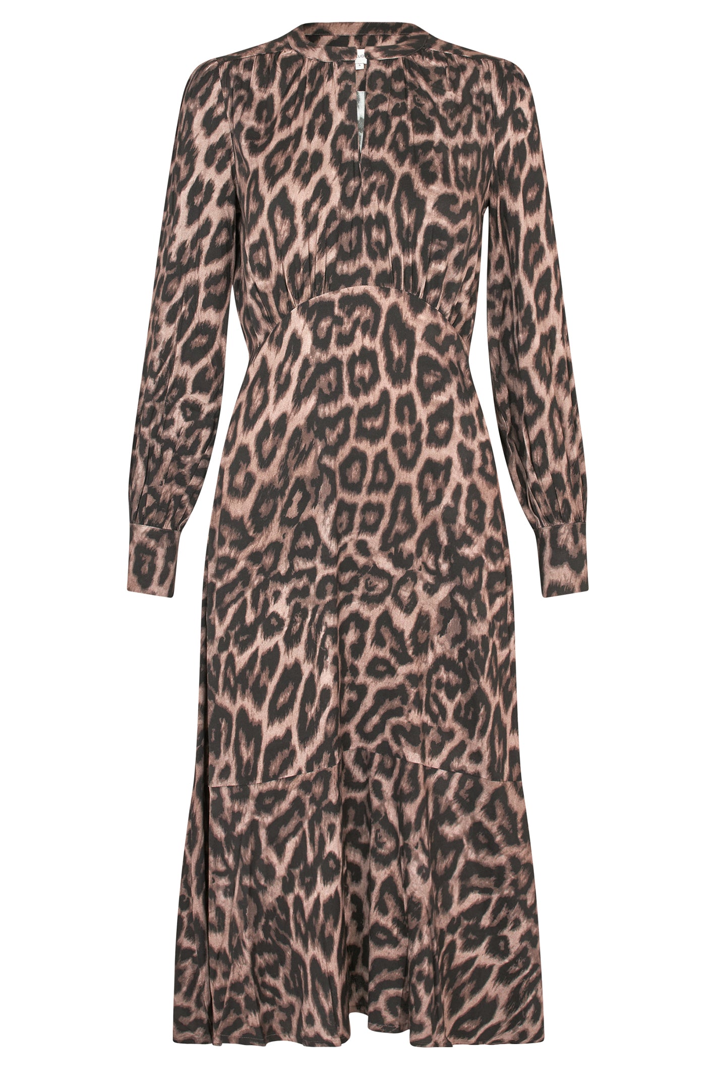Leopard print dress with long sleeves on a white background